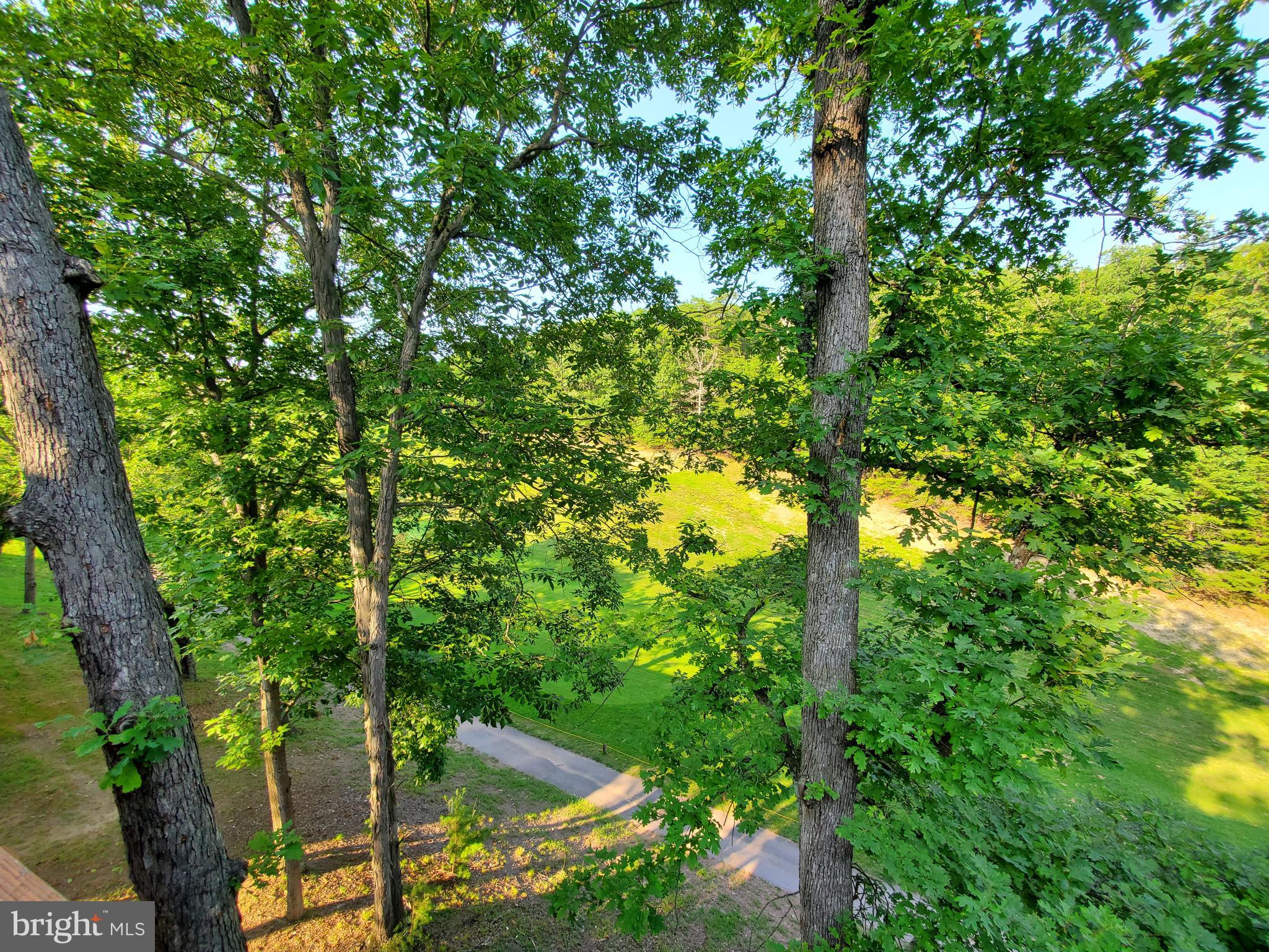 THE WOODS - Residential Lease