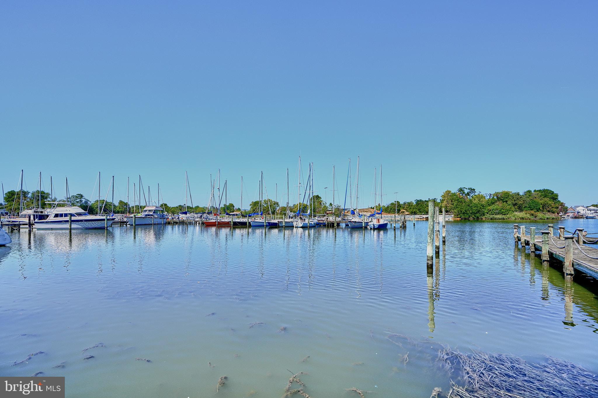 CHESAPEAKE TERRACE - Residential