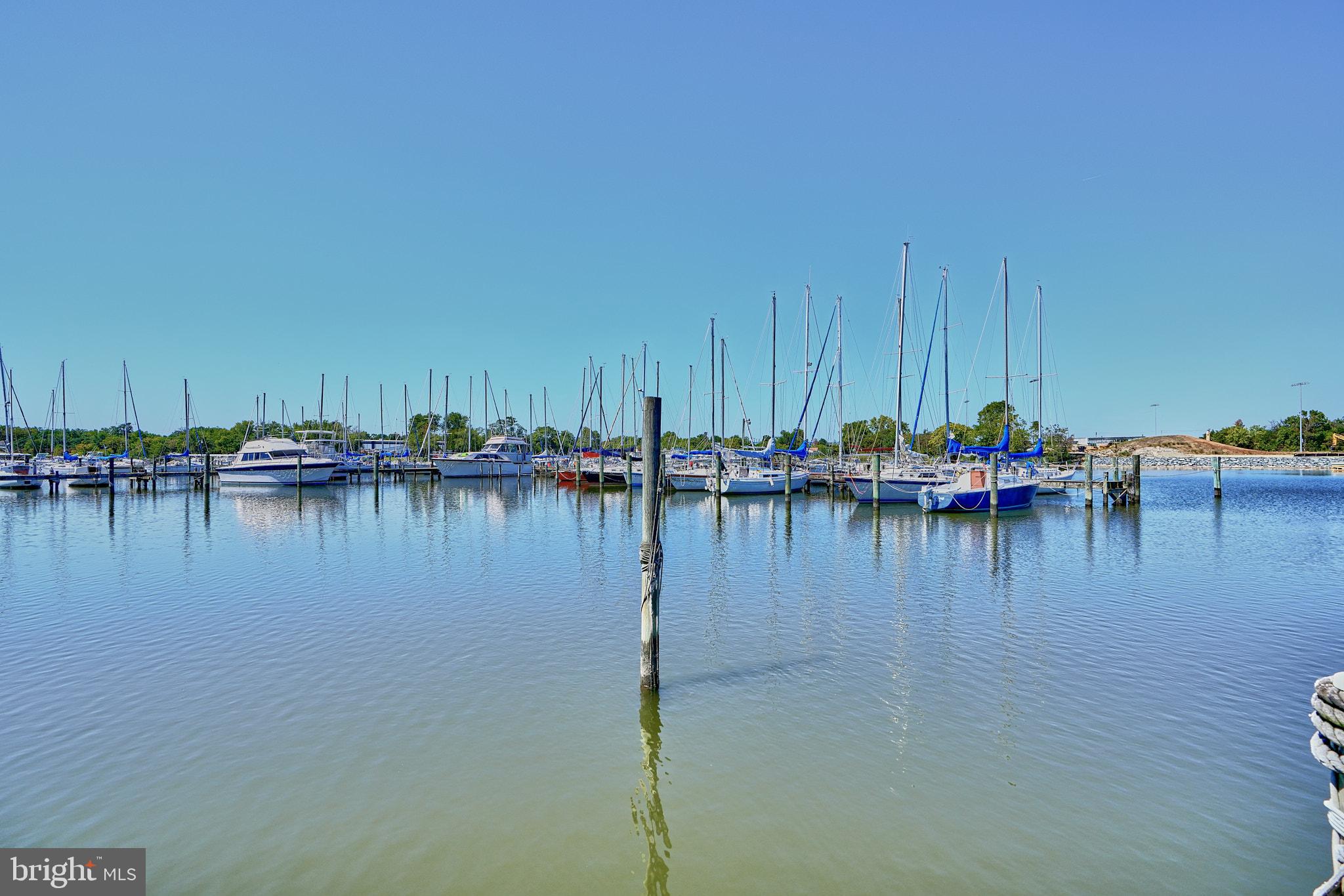 CHESAPEAKE TERRACE - Residential