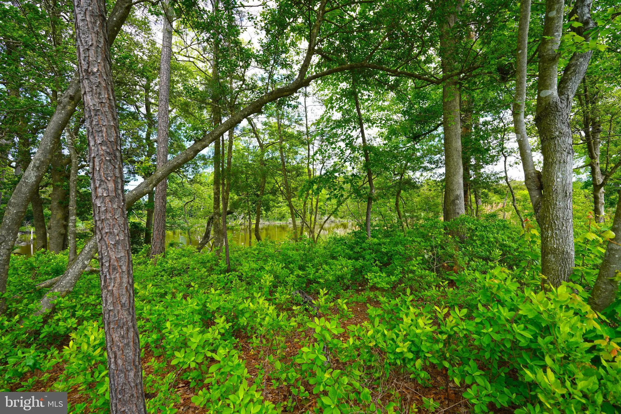 Lewes, Delaware 19958, United States, 4 Bedrooms Bedrooms, ,4 BathroomsBathrooms,Residential,Pending,143167