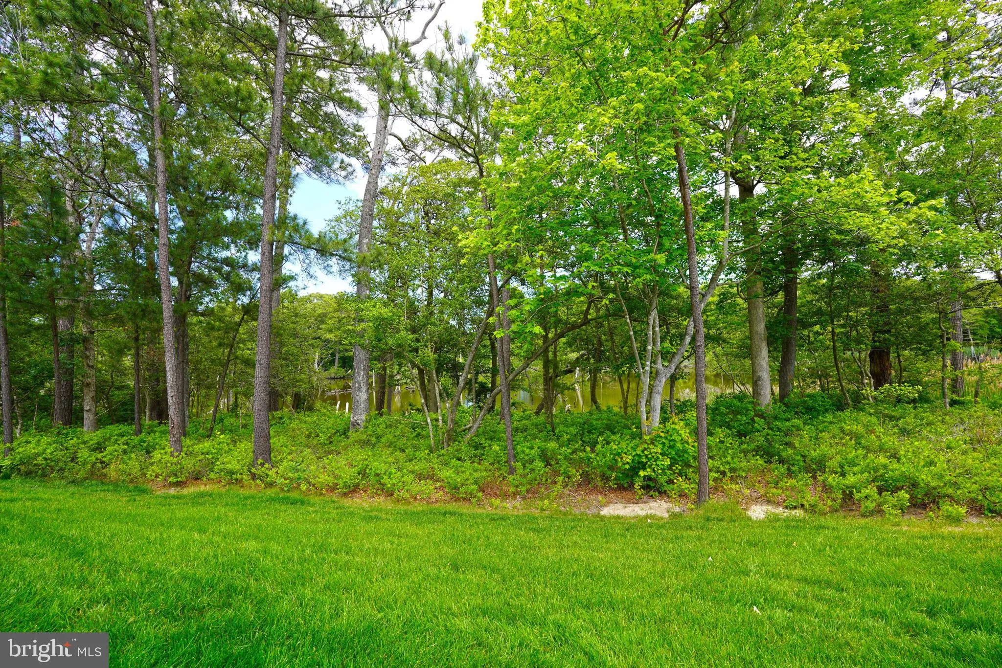 Lewes, Delaware 19958, United States, 4 Bedrooms Bedrooms, ,4 BathroomsBathrooms,Residential,Pending,143167