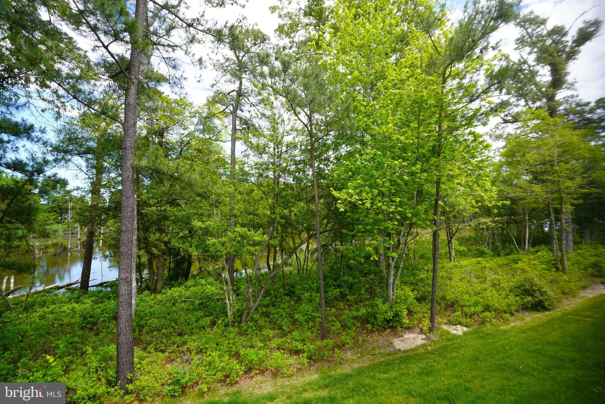 Lewes, Delaware 19958, United States, 4 Bedrooms Bedrooms, ,4 BathroomsBathrooms,Residential,Pending,143167