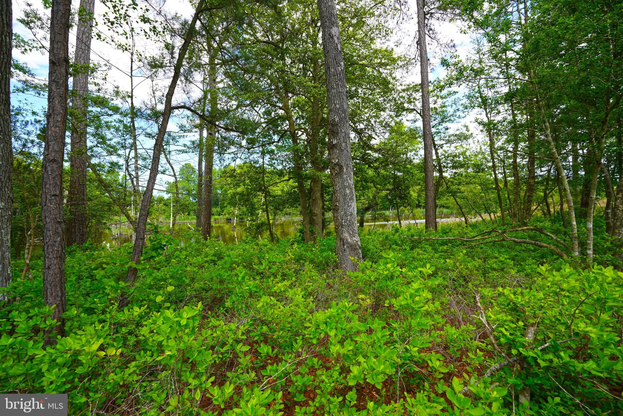 Lewes, Delaware 19958, United States, 4 Bedrooms Bedrooms, ,4 BathroomsBathrooms,Residential,Pending,143167