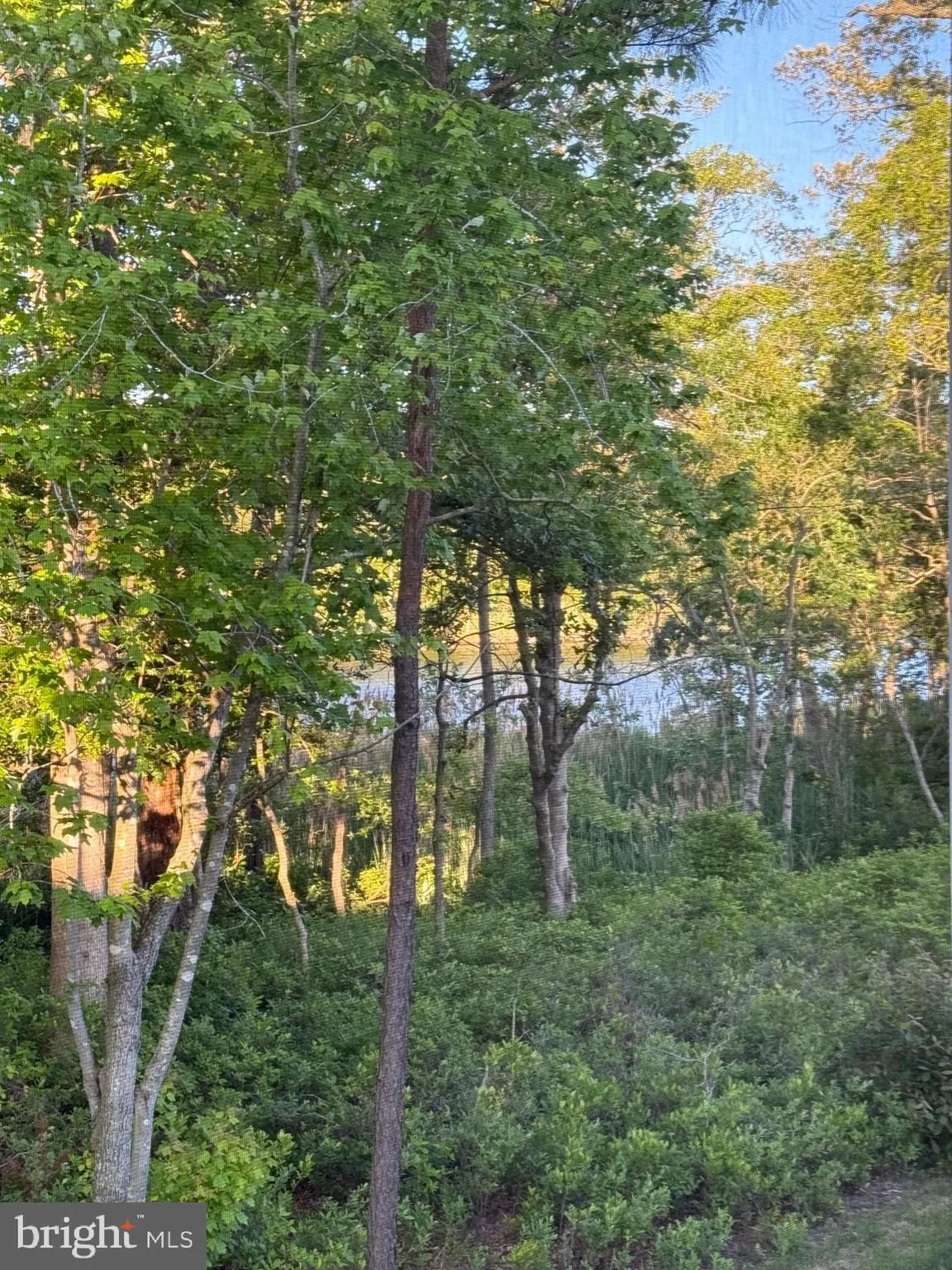 Lewes, Delaware 19958, United States, 4 Bedrooms Bedrooms, ,4 BathroomsBathrooms,Residential,Pending,143167