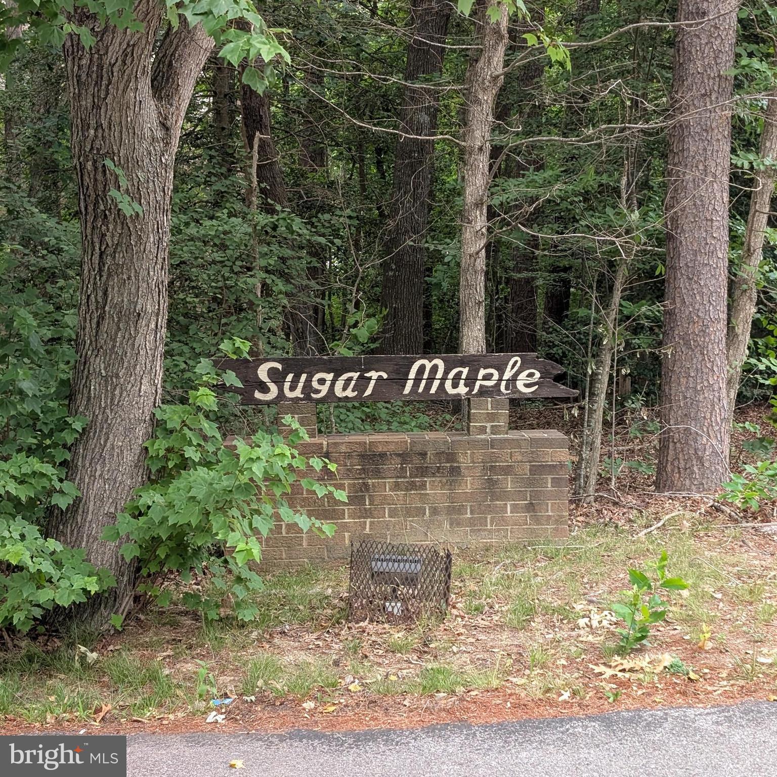 23313 SUGAR MAPLE COURT 6C