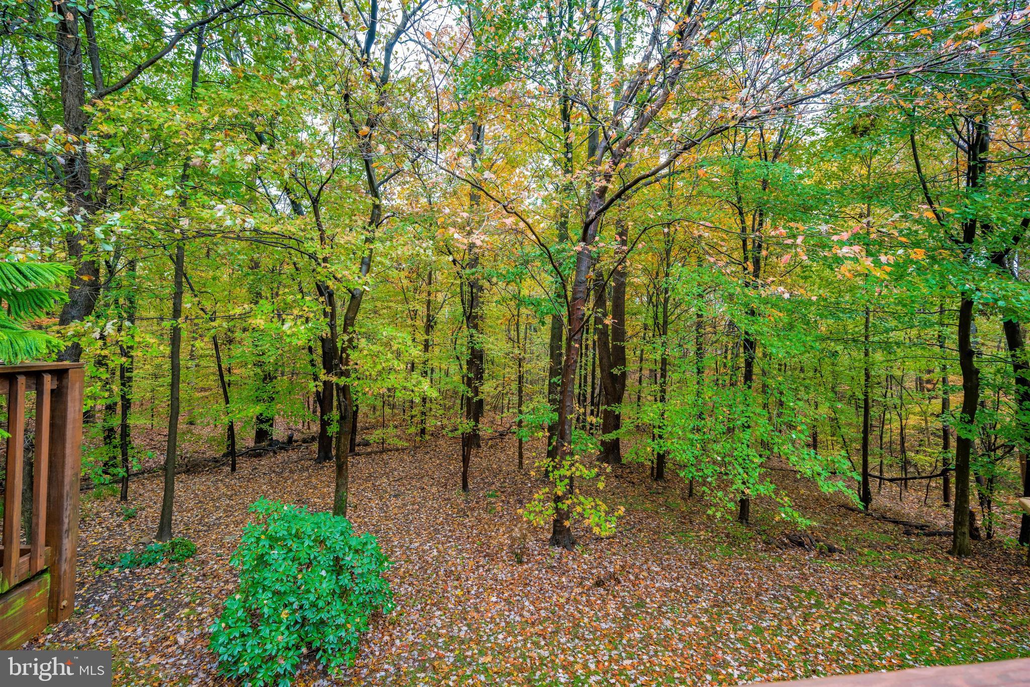 WOODLAND VILLAGE - Residential