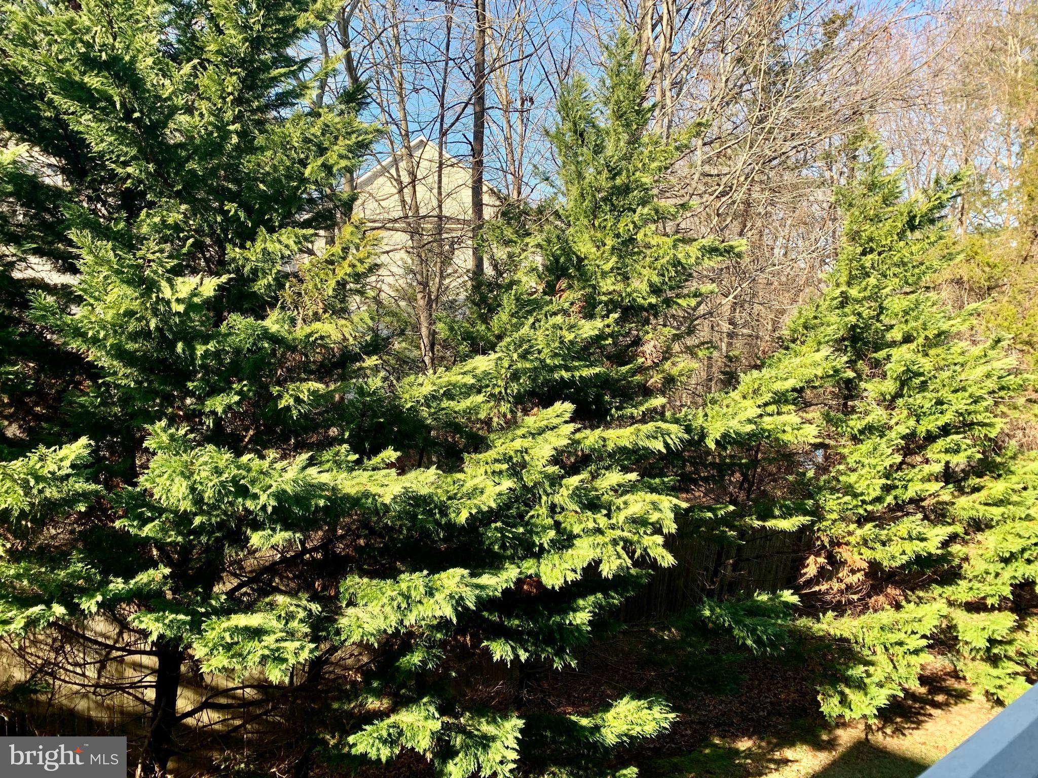 SOUTH MEADOWS - Residential Lease