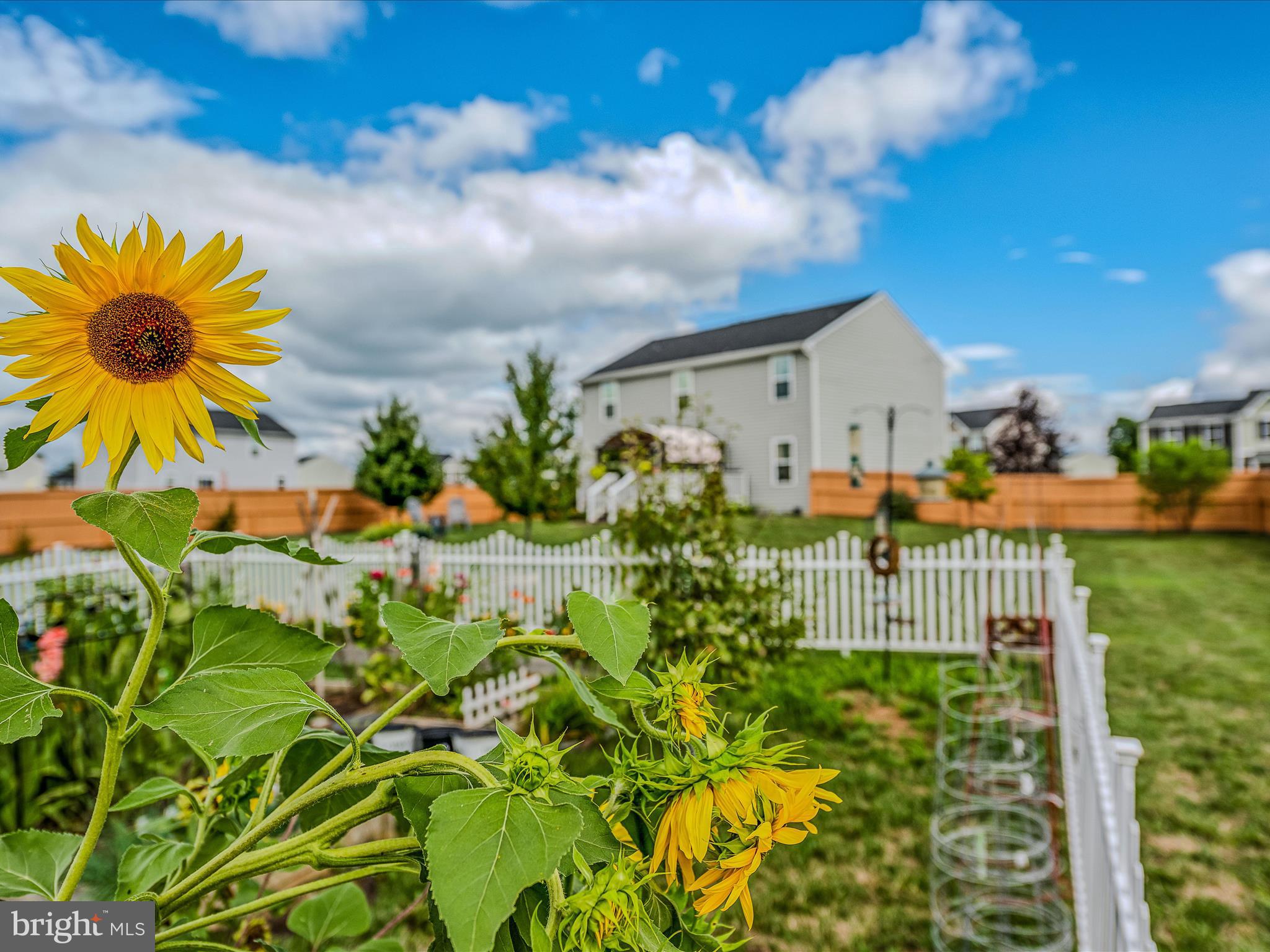CHANDLERS GLEN - Residential