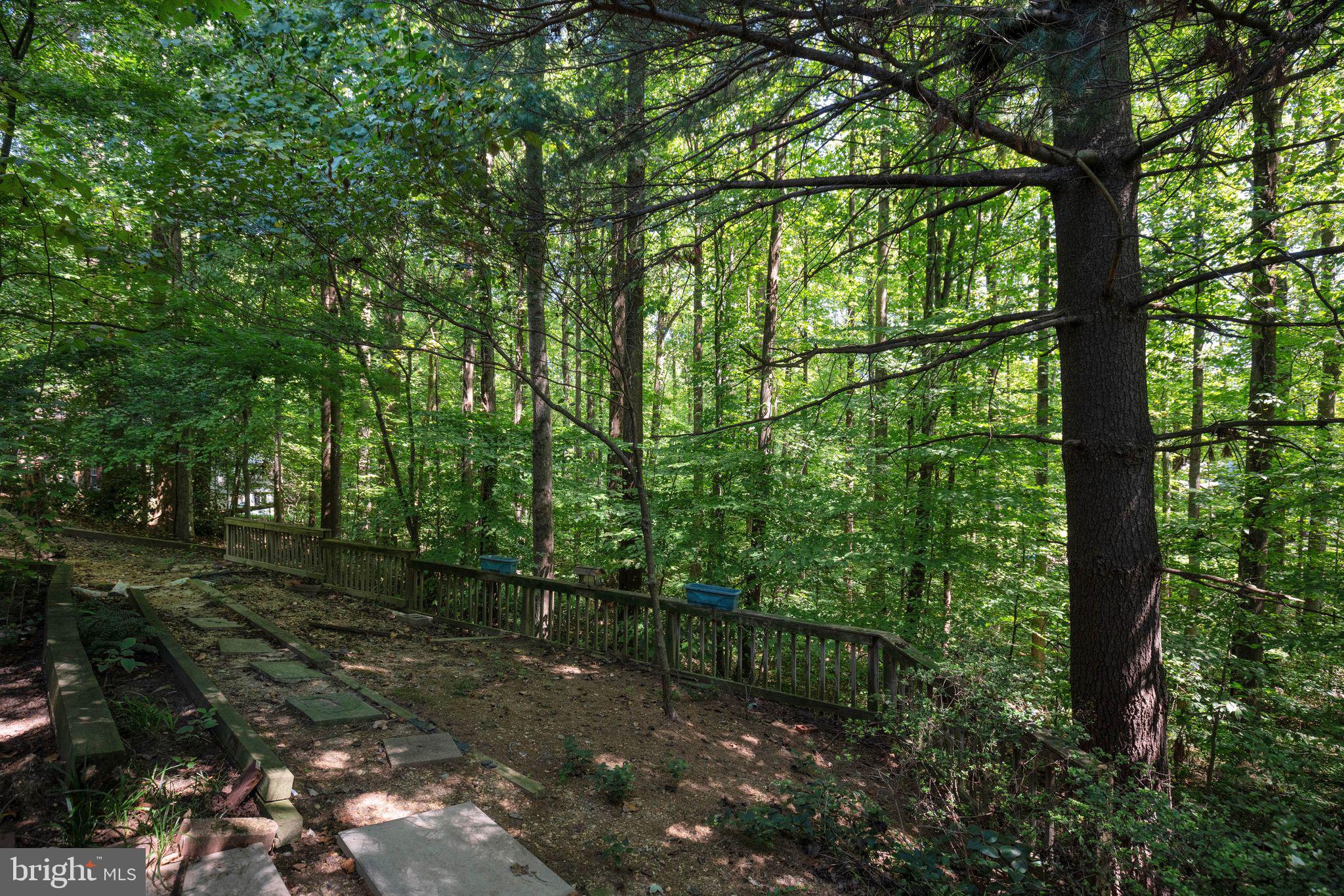 WESTPHALIA WOODS - Residential