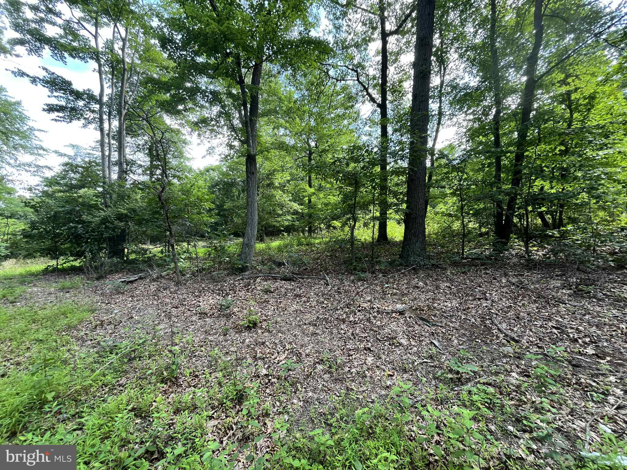 SHORT MOUNTAIN ESTATES - Residential