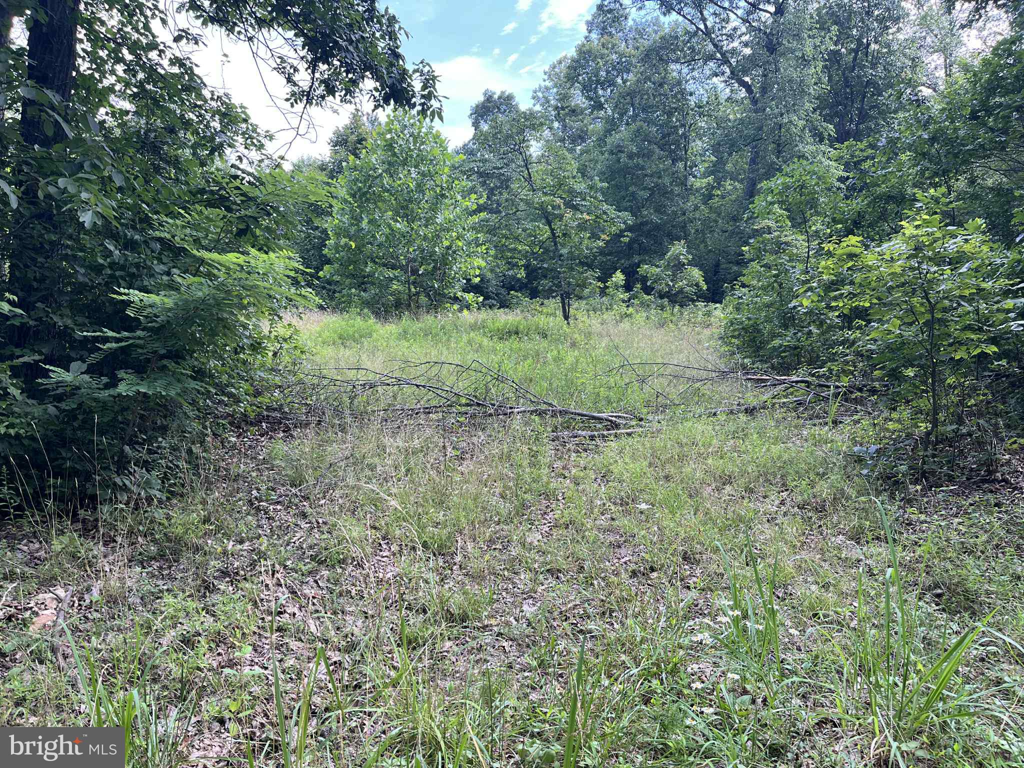 SHORT MOUNTAIN ESTATES - Residential