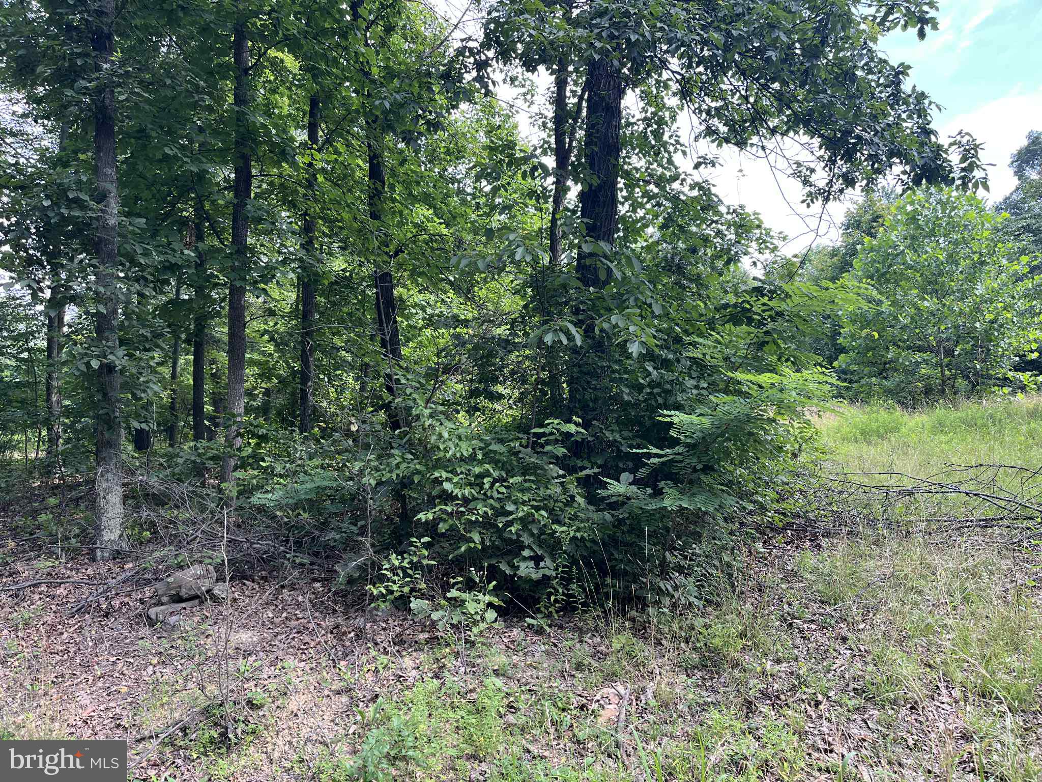 SHORT MOUNTAIN ESTATES - Residential