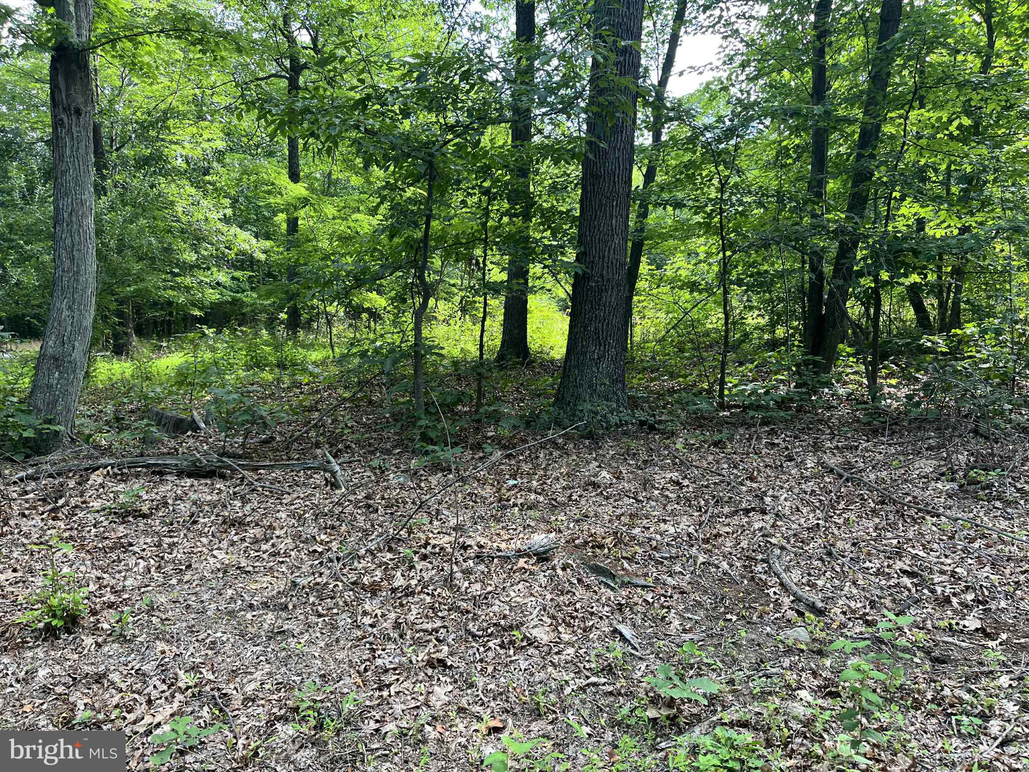 SHORT MOUNTAIN ESTATES - Residential