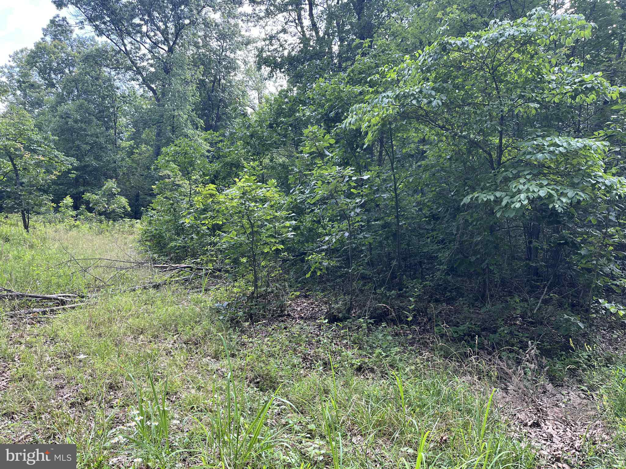 SHORT MOUNTAIN ESTATES - Residential