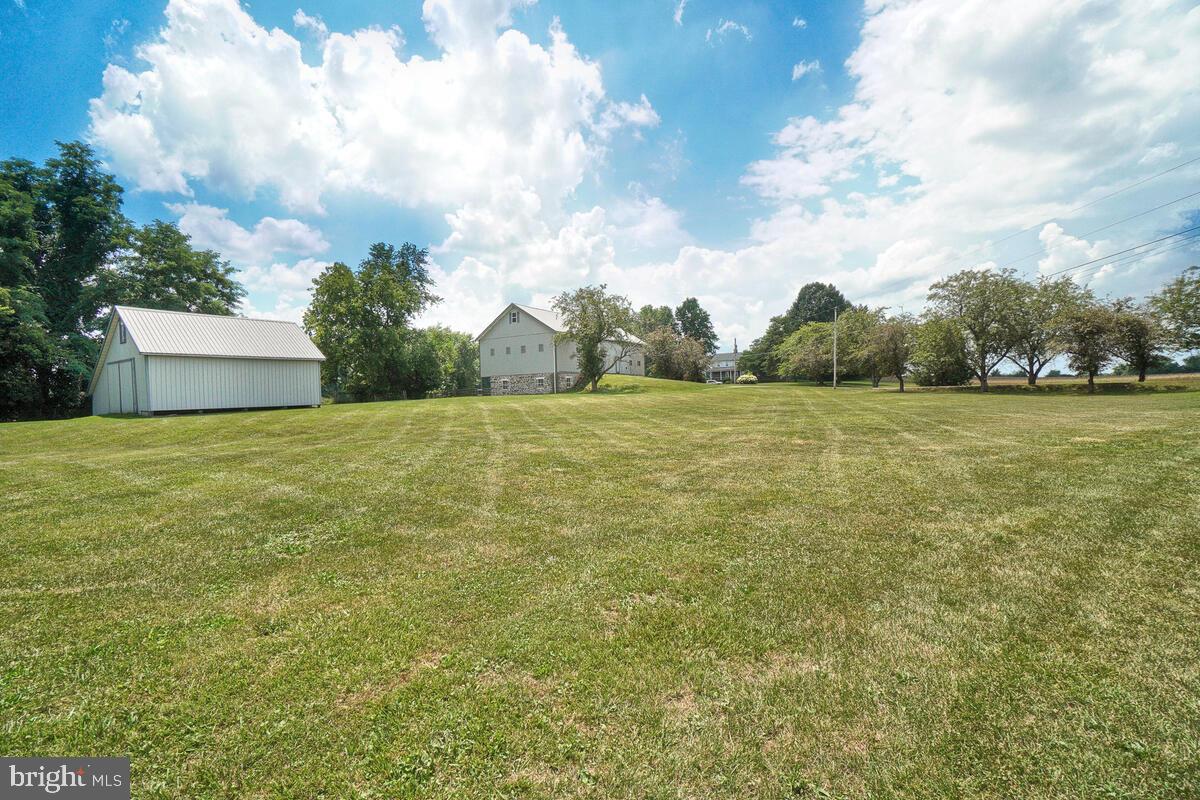 NONE AVAILABLE - Farm