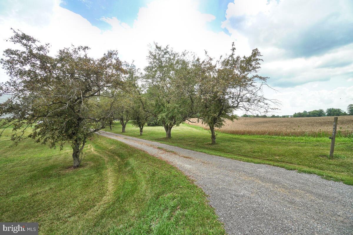 NONE AVAILABLE - Farm