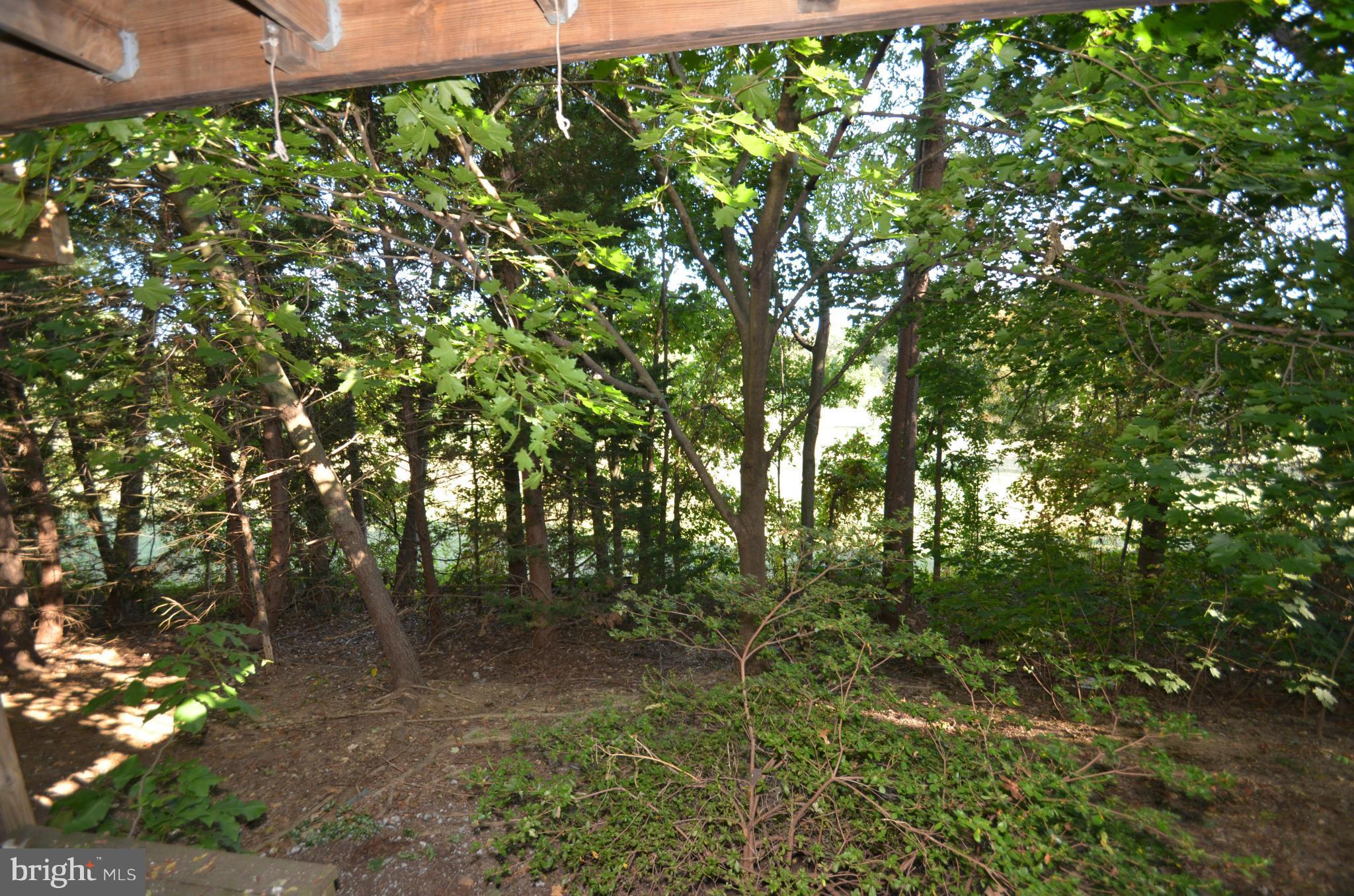 KINGSTOWNE - Residential Lease