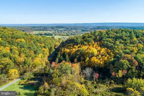 Vacant Land For Sale - LOT ON Orchard Road<br/> PORT MATILDA, PA 16870