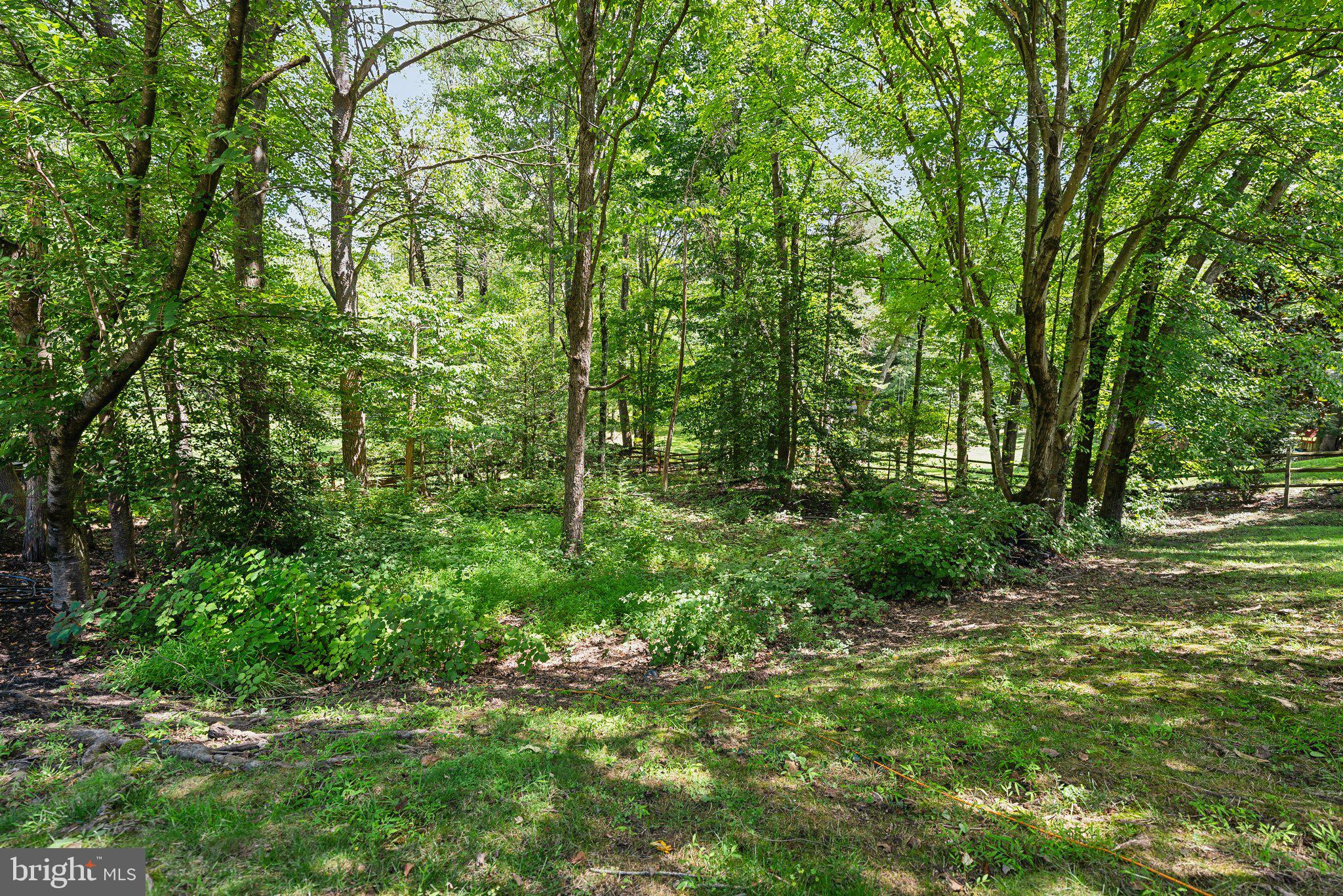 POTOMAC OUTSIDE - Residential