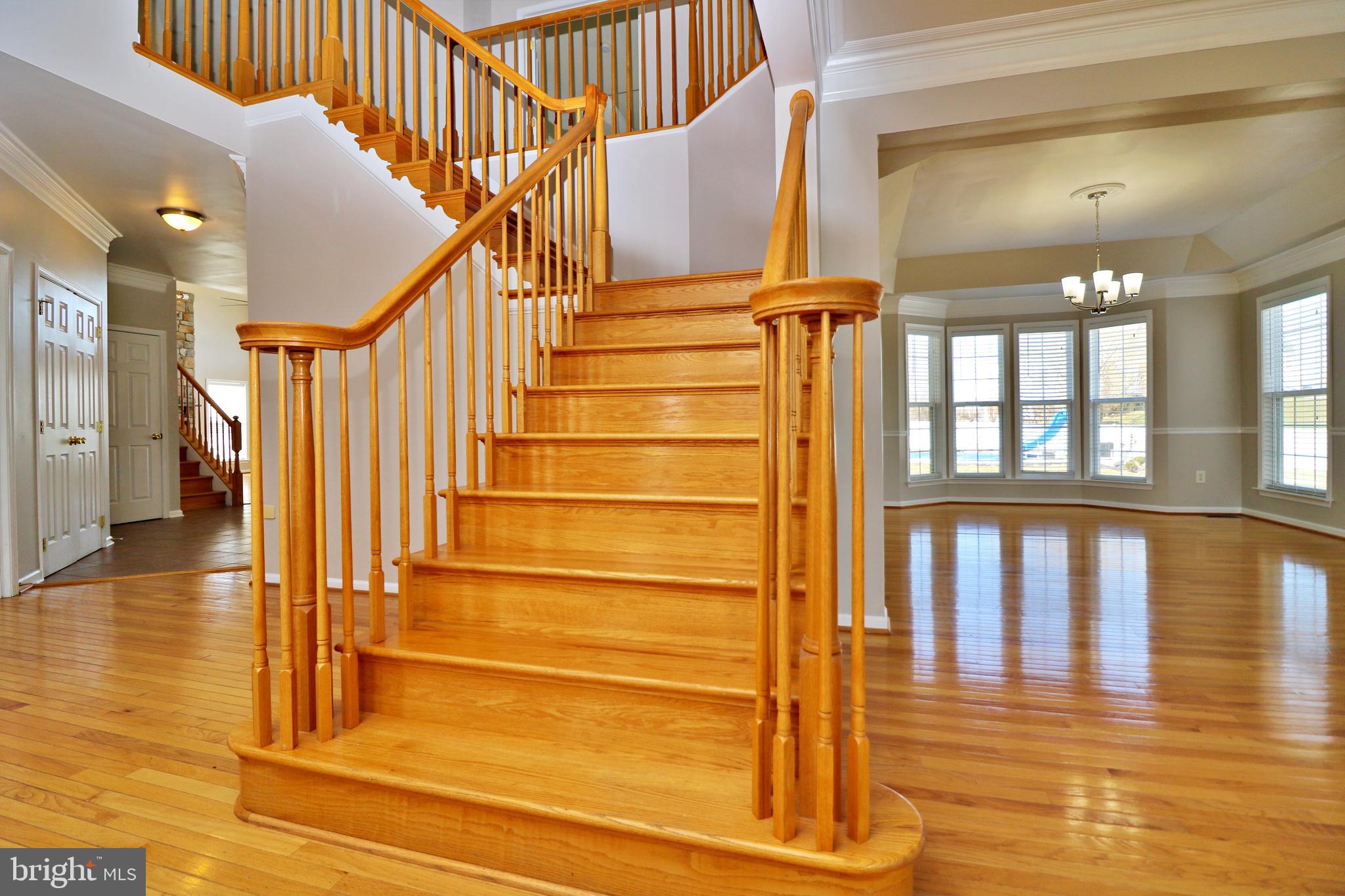 SPRUCE HILL ESTATES - Residential