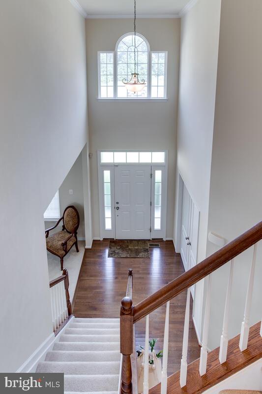 FALCON RIDGE - Residential