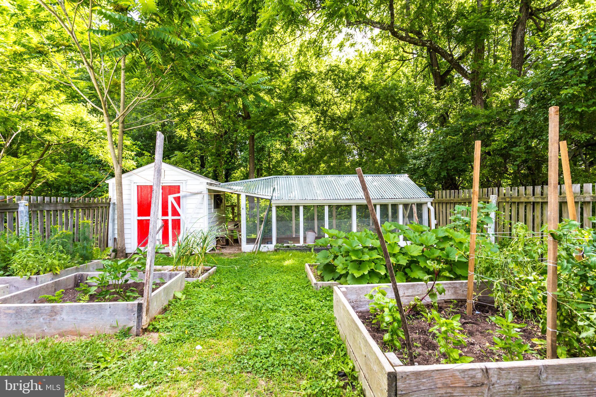 NONE AVAILABLE - Farm