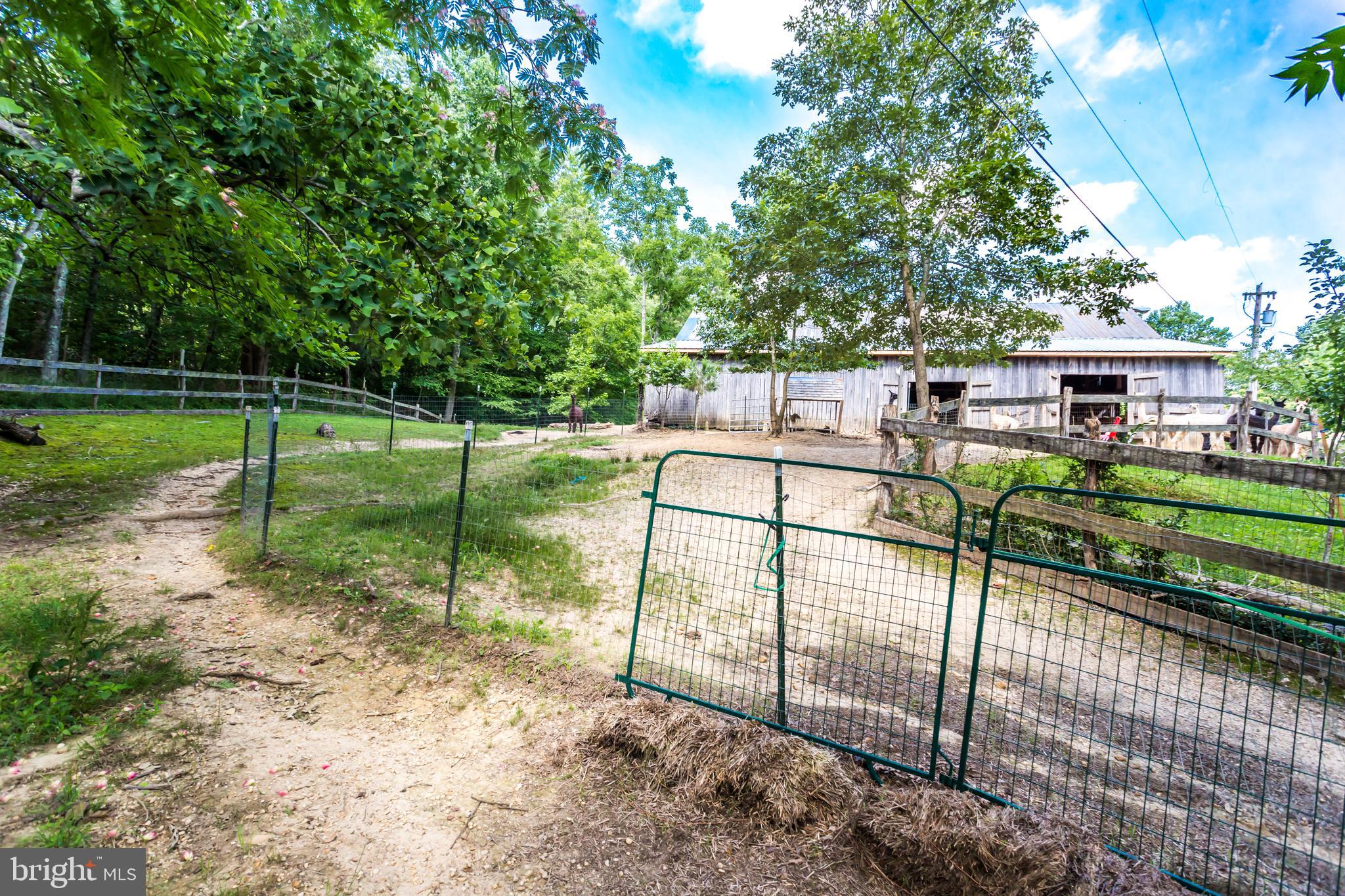 NONE AVAILABLE - Farm