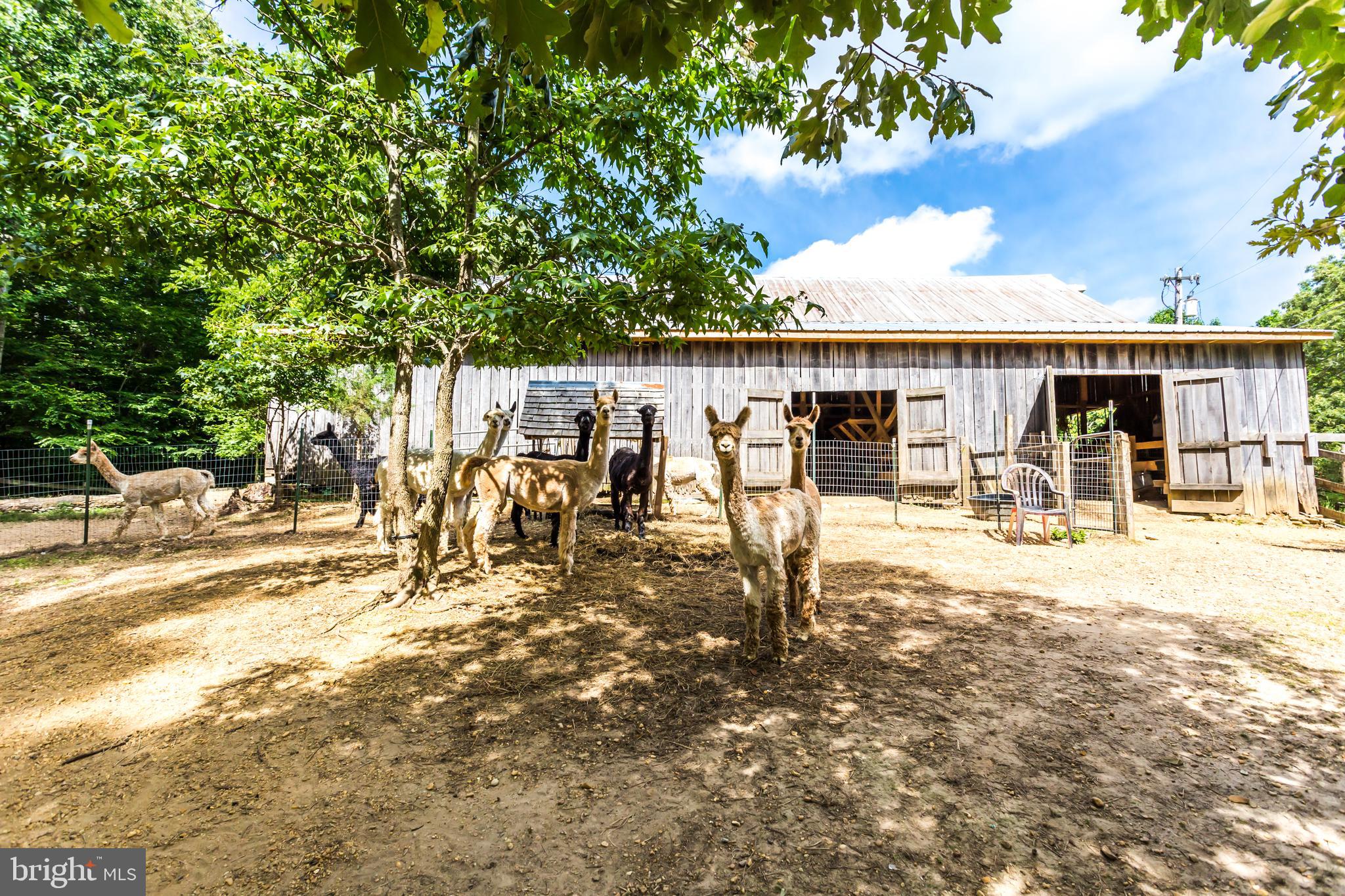 NONE AVAILABLE - Farm