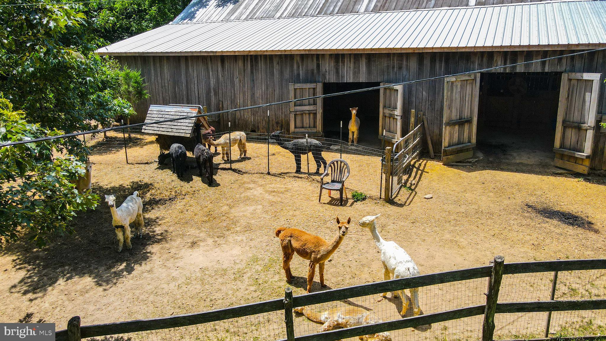 NONE AVAILABLE - Farm