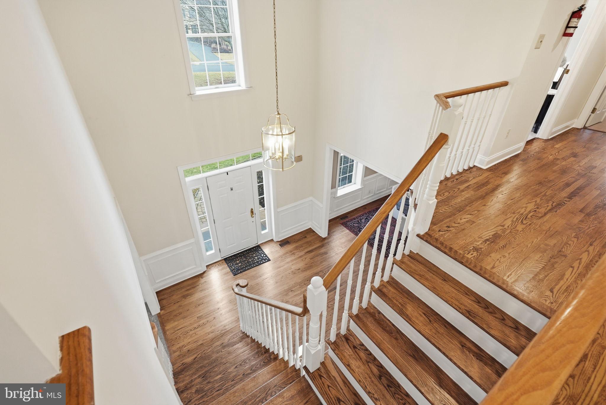 SPRINGLEA - Residential