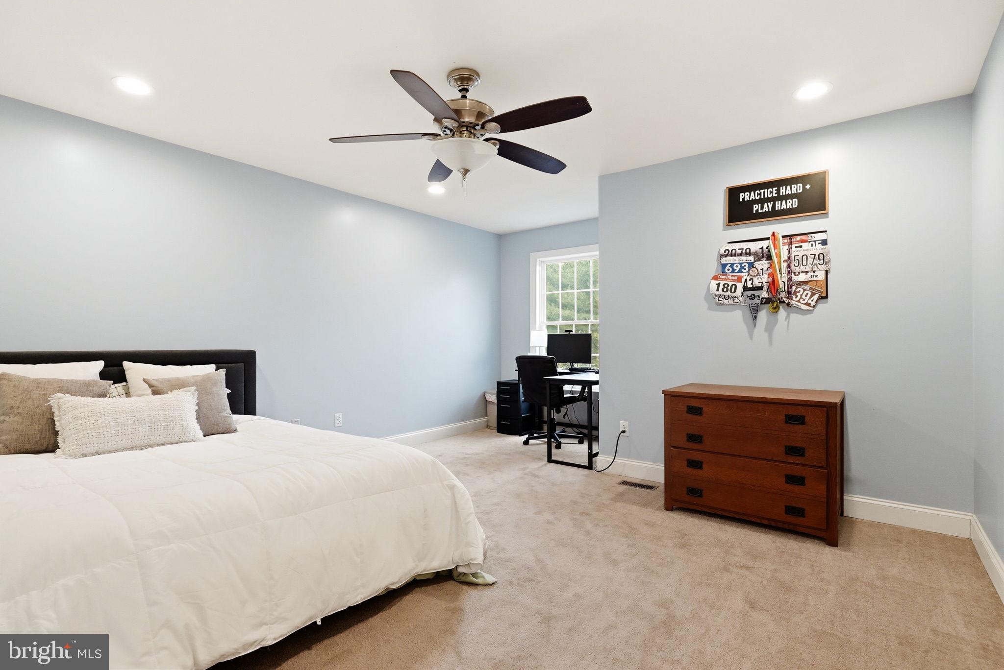 SPRINGLEA - Residential