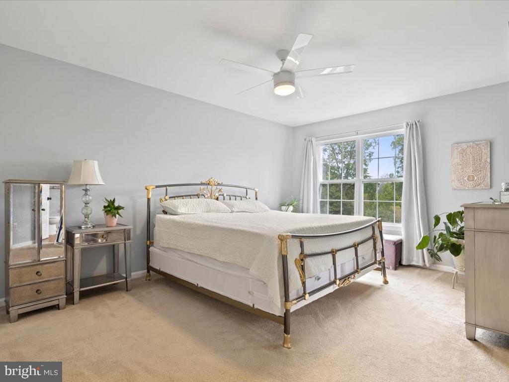 FOREST PARK - Residential