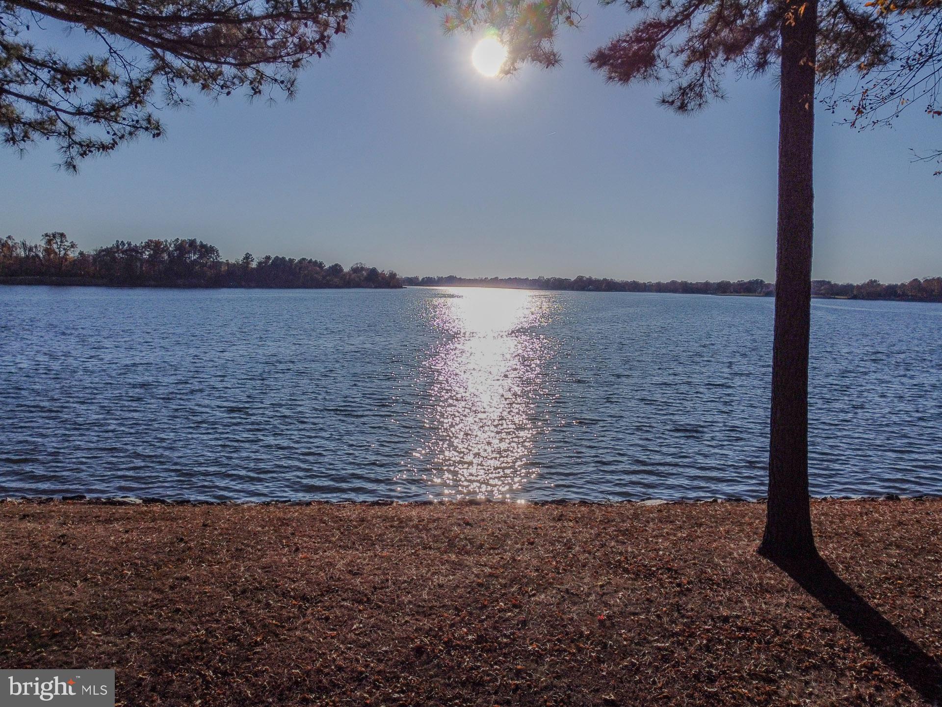 CHESTON ON WYE - Residential