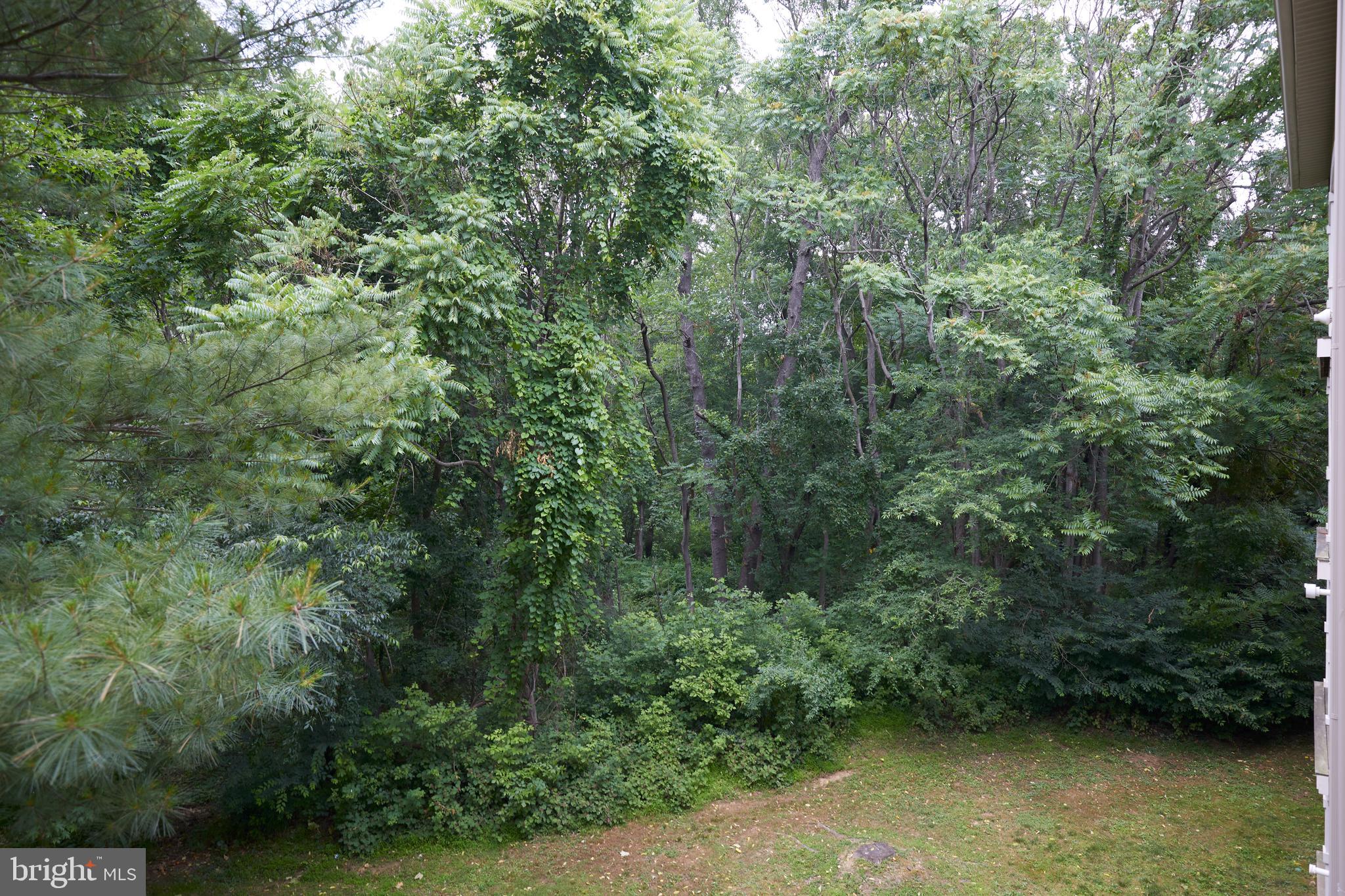 RIVERSTONE CODM - Residential Lease