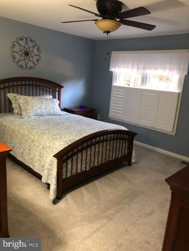 CHANDLER POINT - Residential