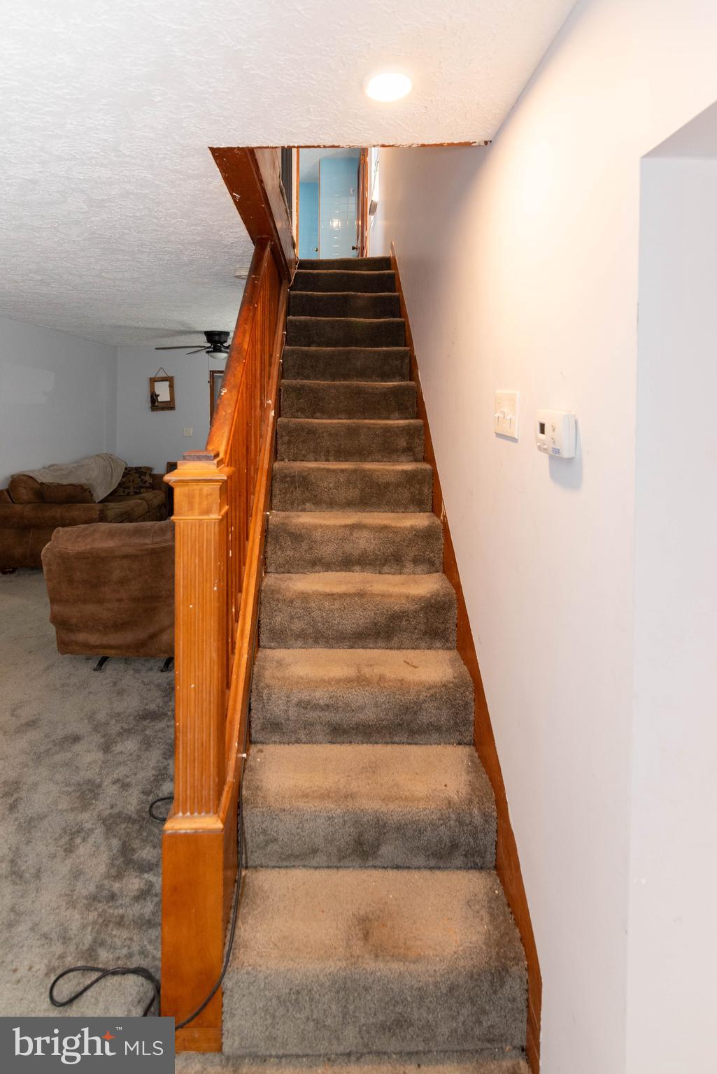 BRIGHT LIGHT SHORES - Residential