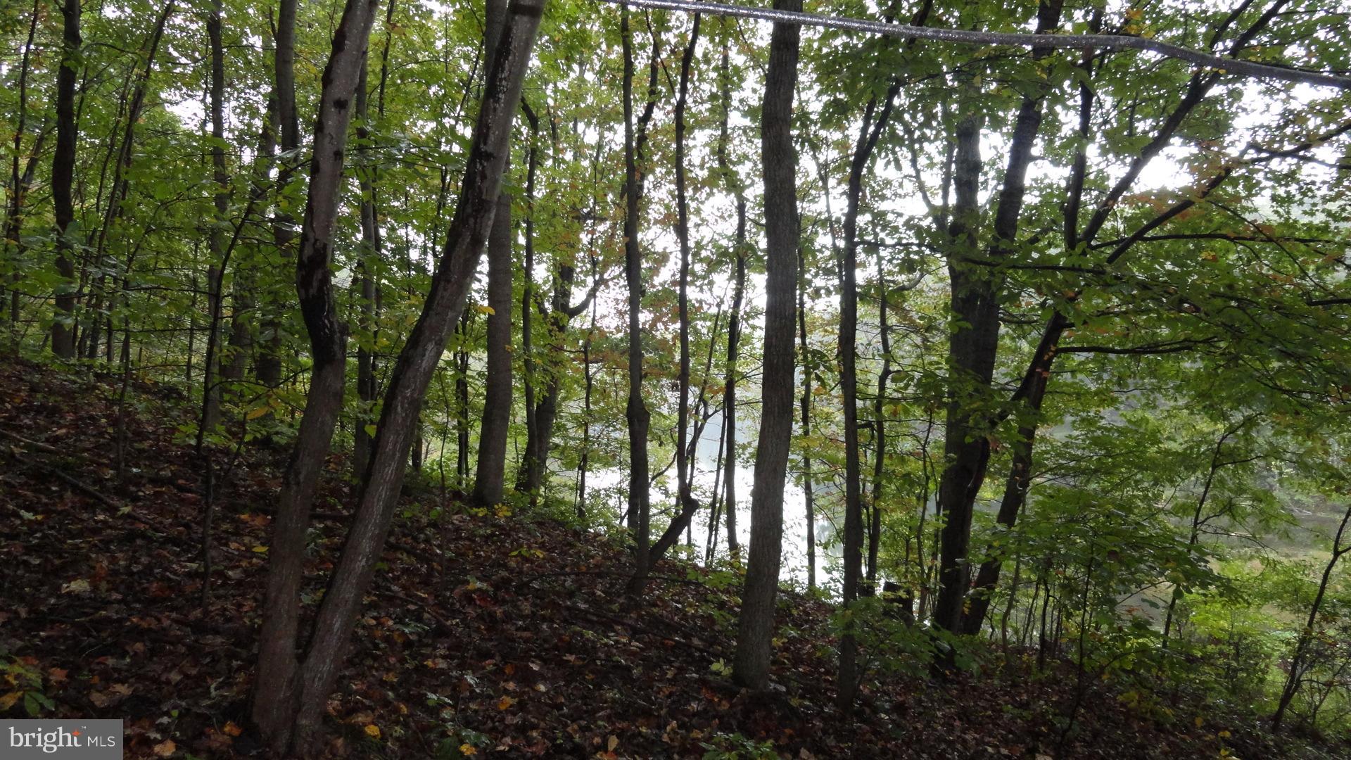 SHANNONDALE - Residential