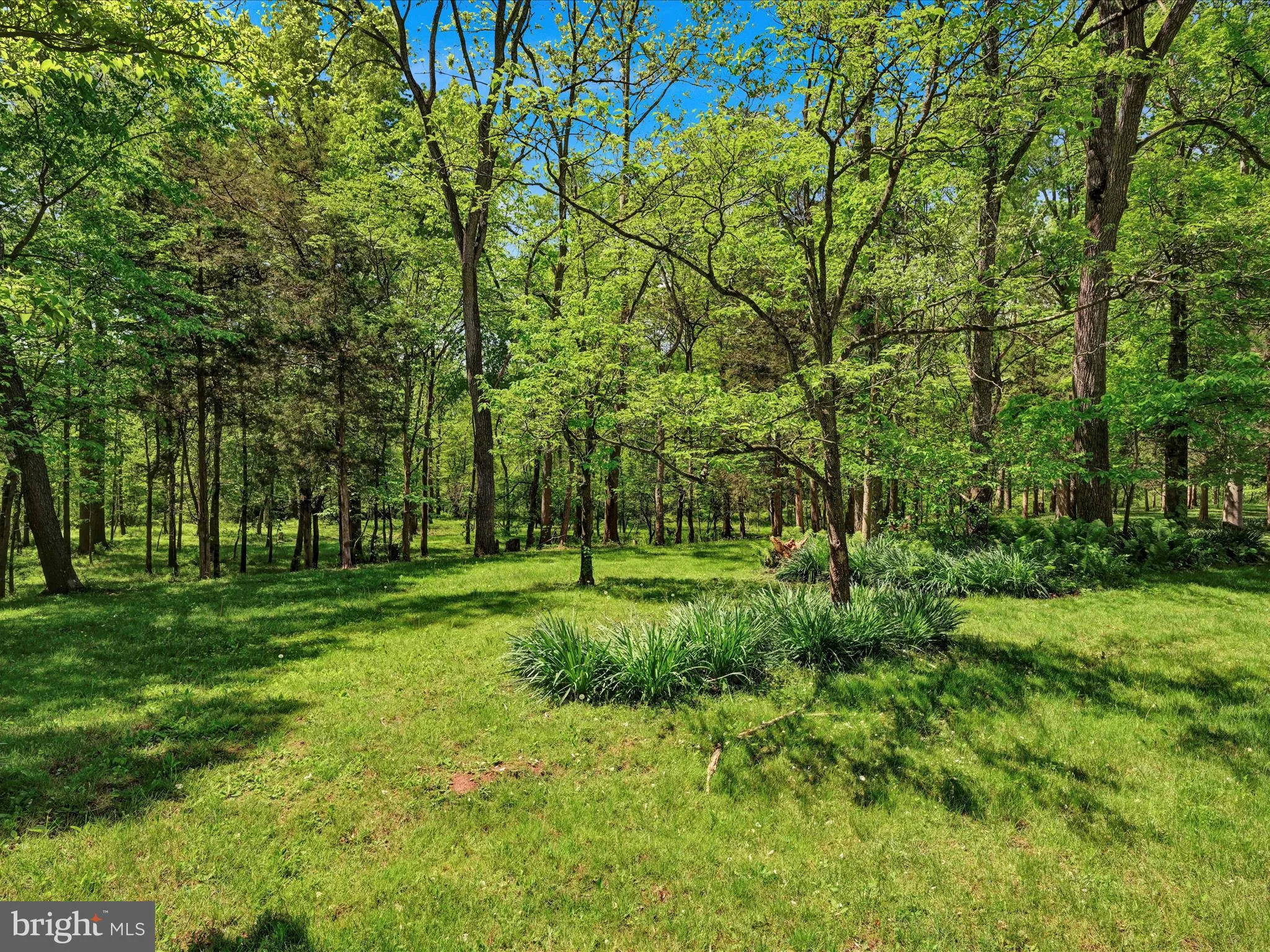 Elizabethtown, Pennsylvania 17022, United States, 4 Bedrooms Bedrooms, ,3 BathroomsBathrooms,Residential,Coming Soon,147346