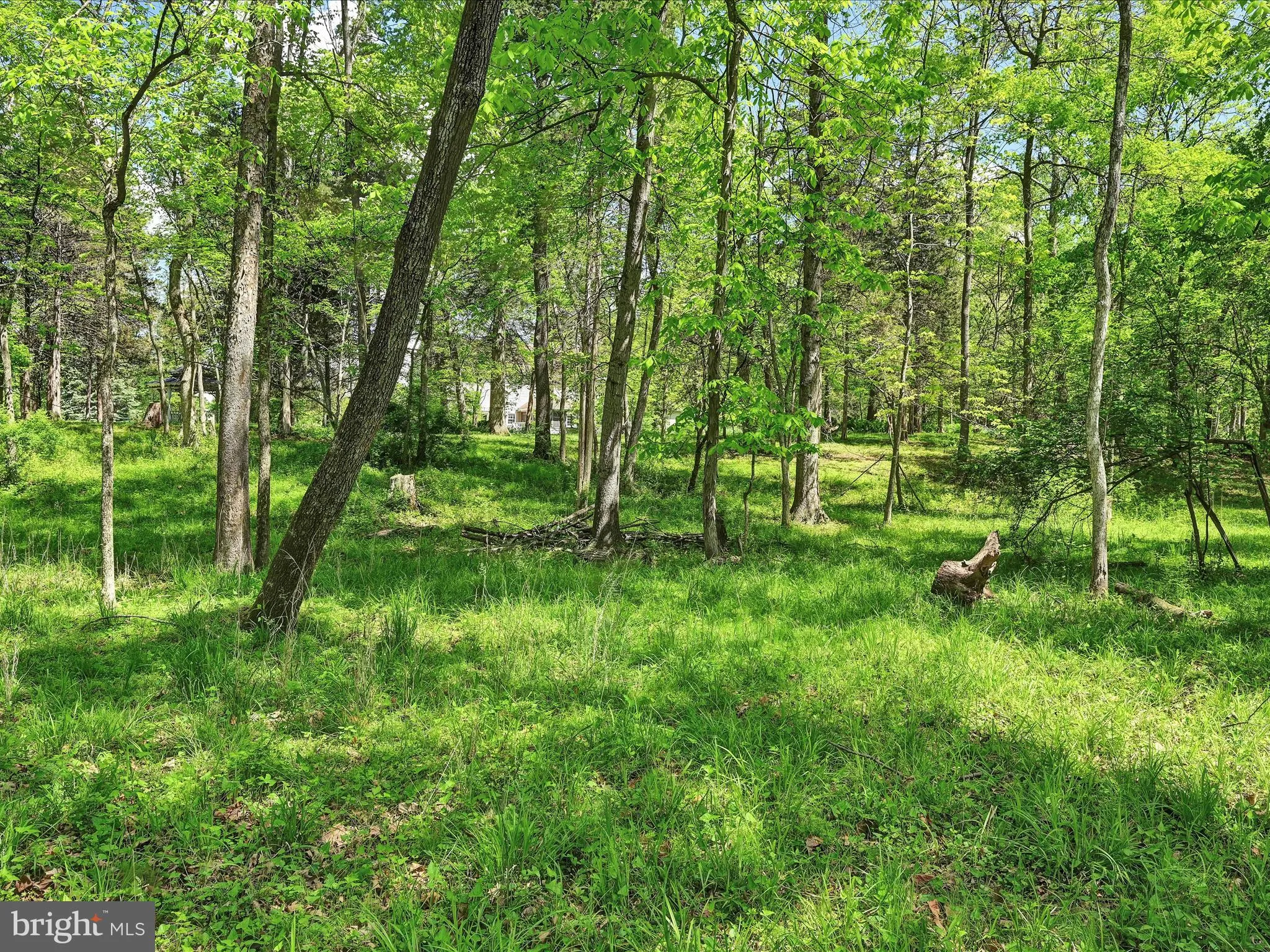 Elizabethtown, Pennsylvania 17022, United States, 4 Bedrooms Bedrooms, ,3 BathroomsBathrooms,Residential,Coming Soon,147346