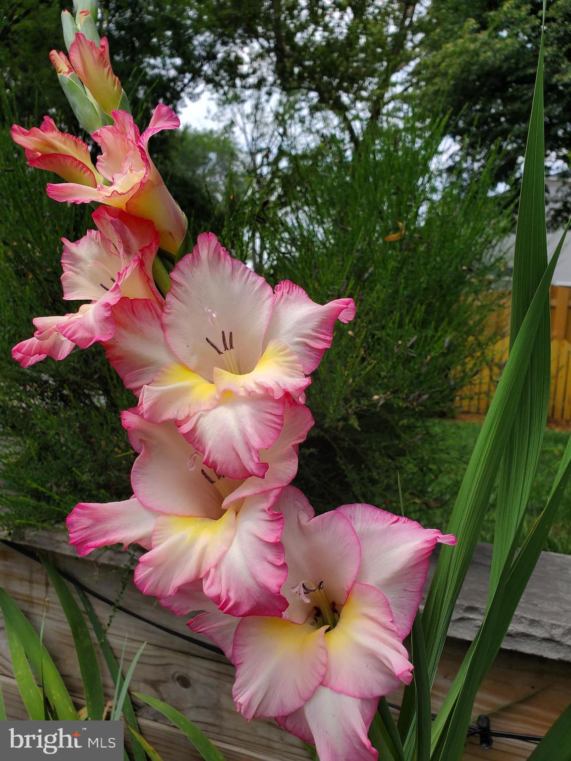 WESTBRIAR COUNTRY CLUB ESTATES - Residential