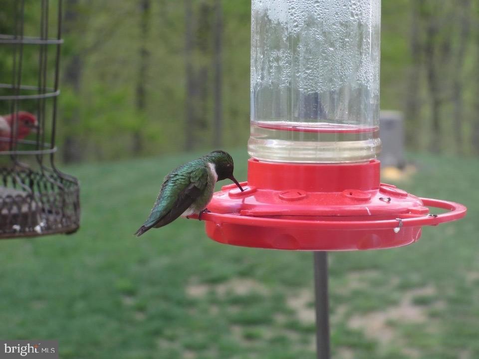 STONE WALL MANOR - Residential