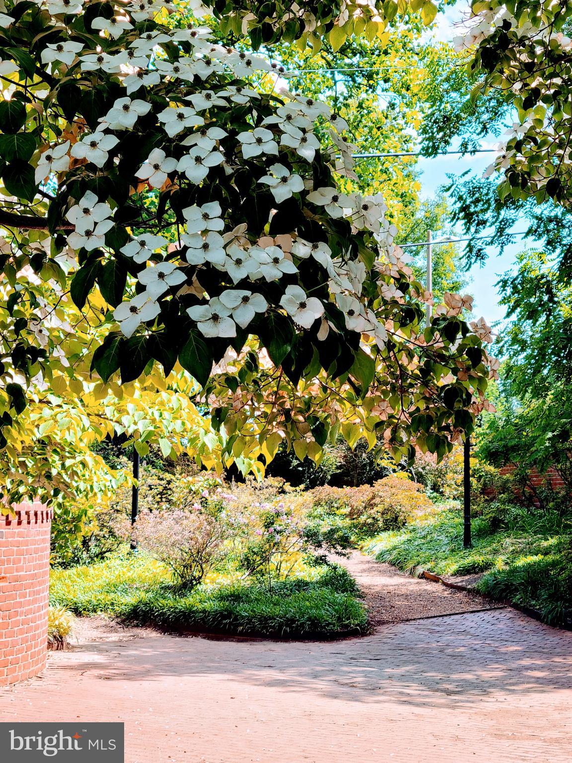 MARSHALL HEIGHTS - Residential