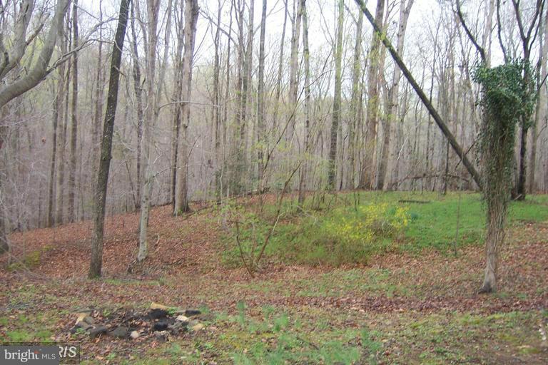 JONES - Residential Lease