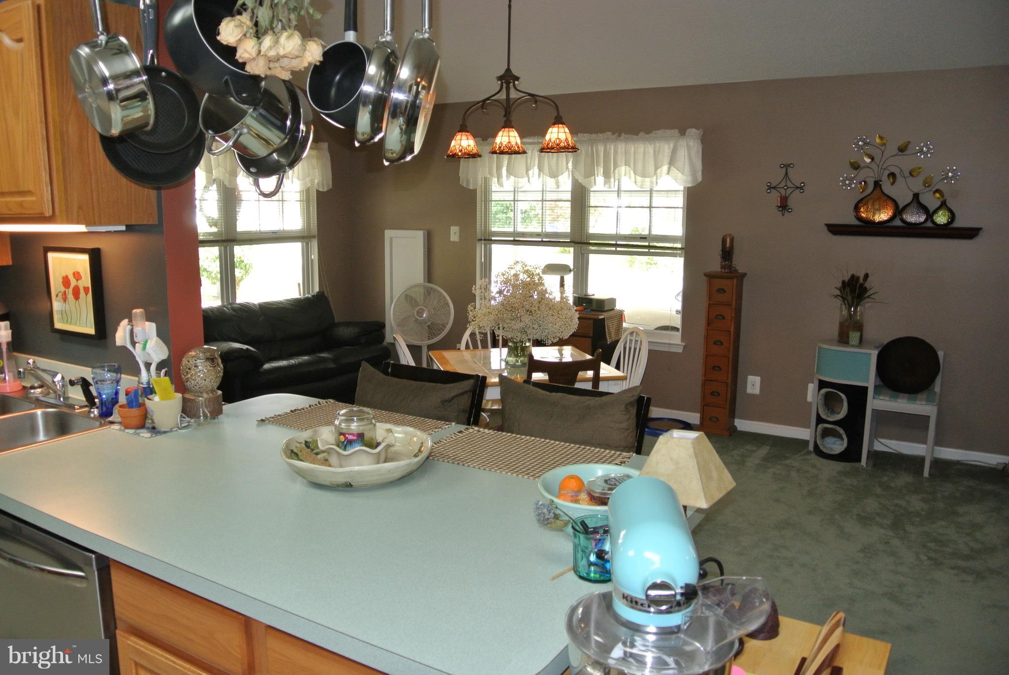 COBB ISLAND - Residential