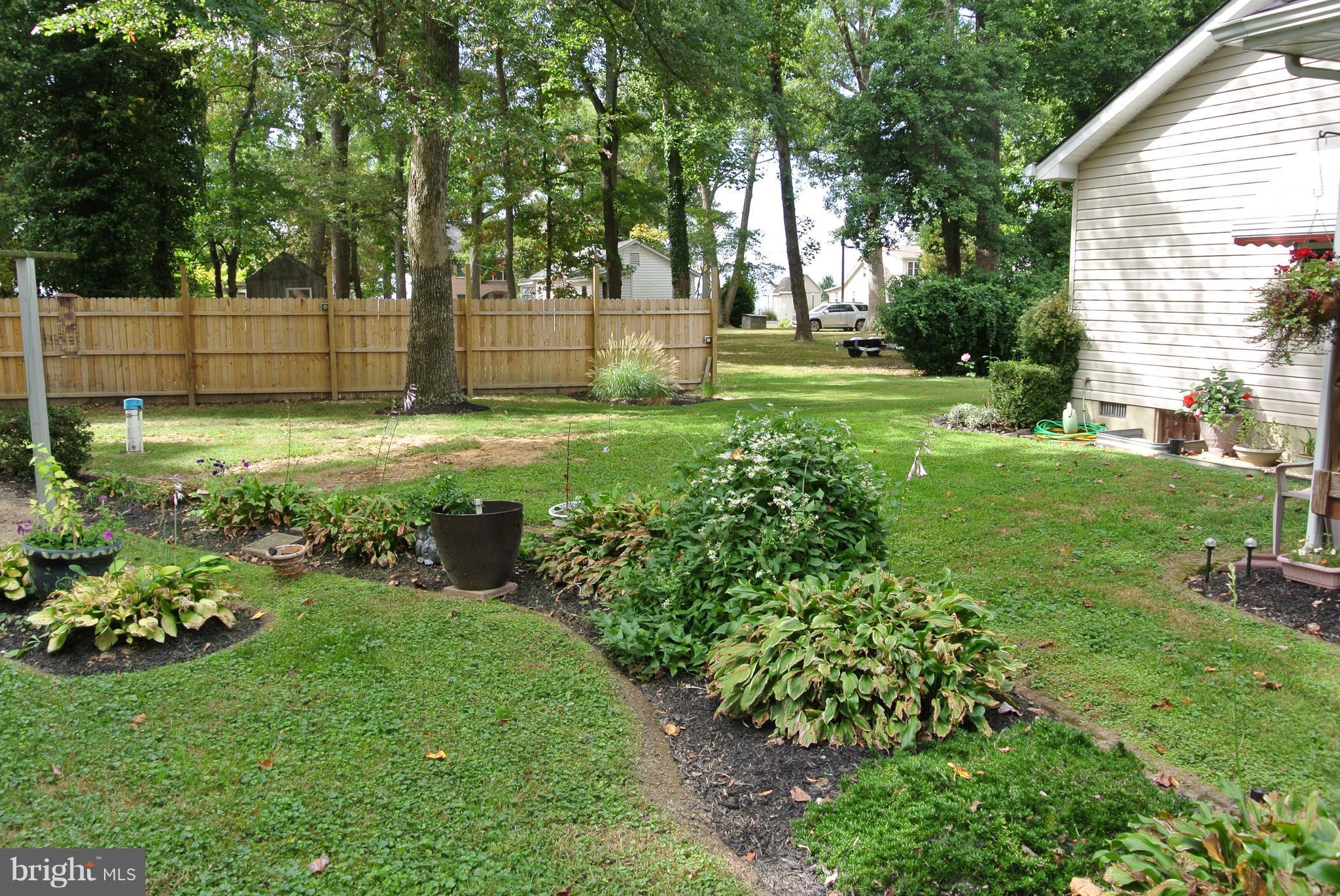 COBB ISLAND - Residential