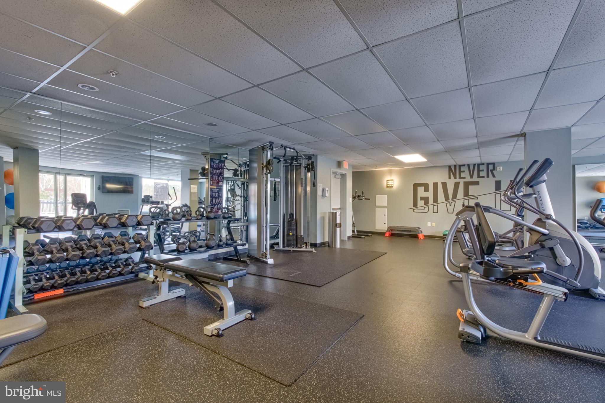 ISABELLA AT MONTICELLO MEWS - Residential