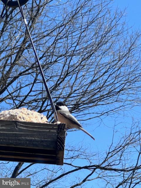 BELLEFONTE BOROUGH - Residential