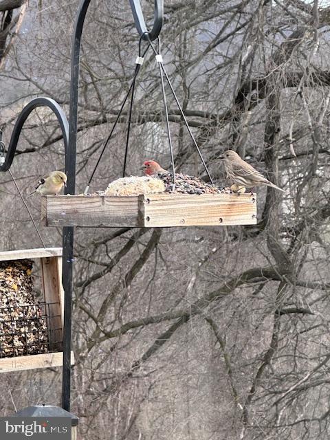 BELLEFONTE BOROUGH - Residential