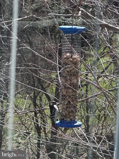 BELLEFONTE BOROUGH - Residential