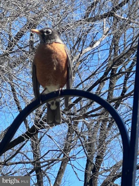 BELLEFONTE BOROUGH - Residential